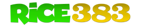 rice383